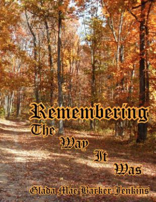 Knjiga Remembering the Way It Was Glada Mae Barker Jenkins