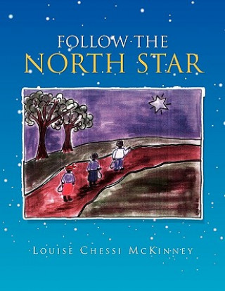 Kniha Follow the North Star Louise Chessi McKinney