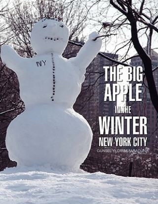 Kniha Big Apple In The Winter Gunsel Yildirim-Faraguna