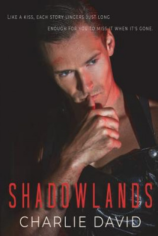 Könyv Shadowlands Charlie David