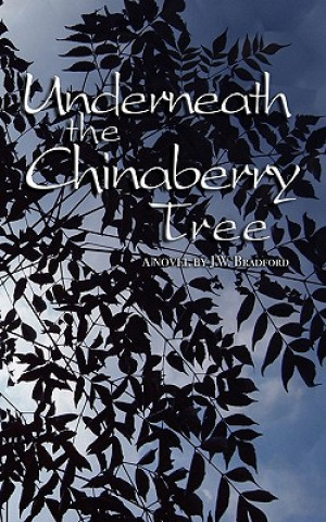 Книга Underneath the Chinaberry Tree J W Bradford