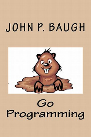 Książka Go Programming John P Baugh