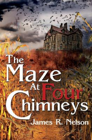 Book The Maze at Four Chimneys James R Nelson