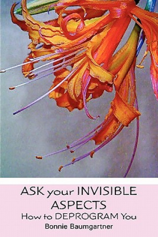 Carte Ask Your Invisible Aspects: How to Deprogram You Bonnie Baumgartner