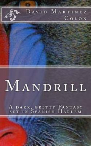Carte Mandrill: A dark, gritty fantasy set in Spanish Harlem MR David Colon
