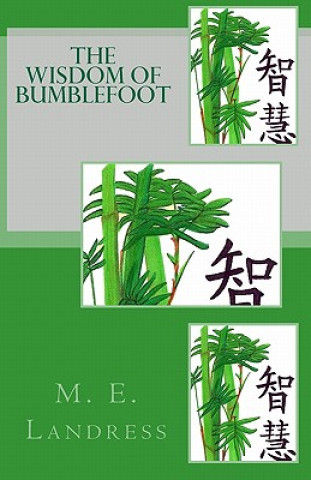 Könyv The Wisdom of Bumblefoot M E Landress