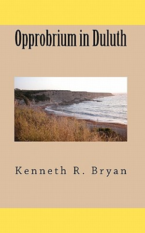 Book Opprobrium in Duluth Kenneth R Bryan