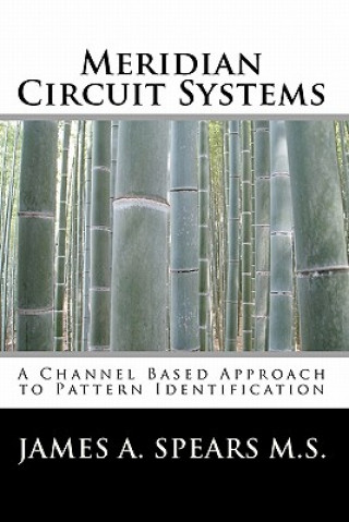 Kniha Meridian Circuit Systems: A Channel Based Approach to Pattern Identification James A Spears M S