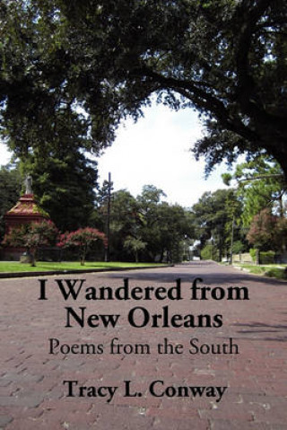 Kniha I Wandered From New Orleans: Poems from the South Tracy L Conway