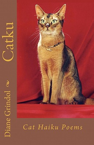 Book Catku: Cat Haiku Poems Diane Grindol