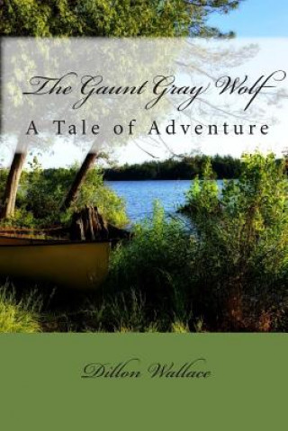 Kniha The Gaunt Gray Wolf: A Tale of Adventure Dillon Wallace