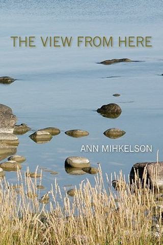 Knjiga The View from Here Ann Mihkelson