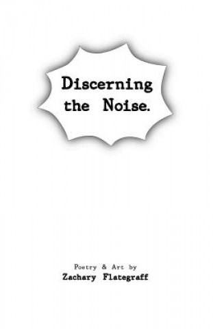 Kniha Discerning the Noise Zachary Flategraff