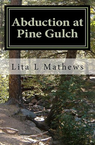 Kniha Abduction at Pine Gulch Lita L Mathews