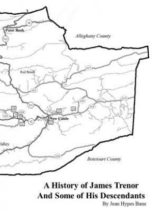 Livre A History of James Trenor and Some of His Descendants Jean Hypes Bane