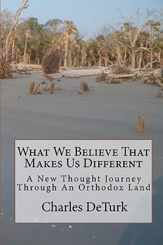 Knjiga What We Believe That Makes Us Different: A New Thought Journey Through An Orthodox Land Charles Deturk