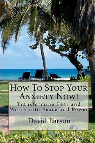 Kniha How To Stop Your Anxiety Now: Transforming Fear and Worry into Peace and Power David A Larson MS