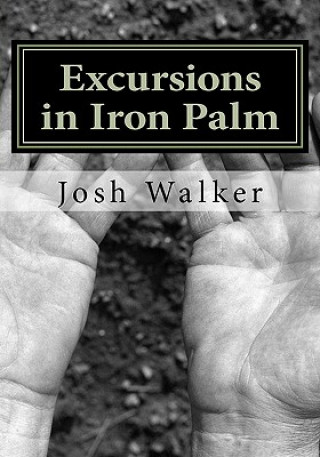 Kniha Excursions in Iron Palm Josh Walker