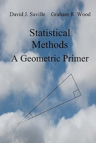 Knjiga Statistical Methods: A Geometric Primer David J Saville