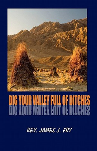 Carte Dig your valley full of ditches Rev James J Fry