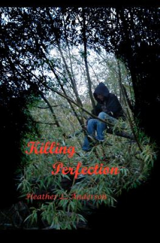 Boek Killing Perfection Miss Heather L Anderson