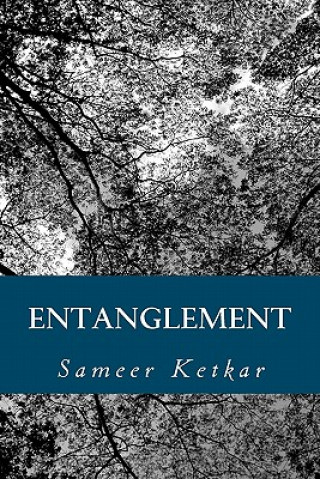 Könyv Entanglement Sameer Ketkar