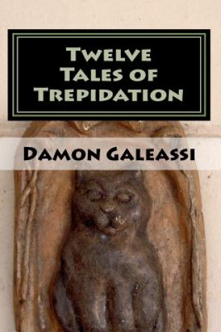 Książka Twelve Tales of Trepidation MR Damon R Galeassi