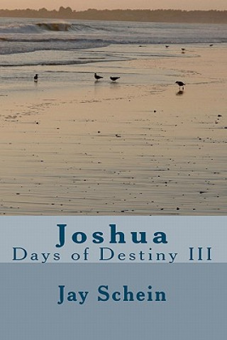 Knjiga Joshua: Days of Destiny III Jay Schein