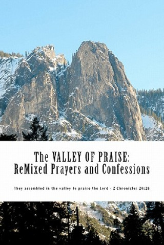 Carte The Valley of Praise: ReMixed Prayers and Confessions to Reform the Soul. Based on the works of Augustine, Calvin and Luther. Robert William Alexander
