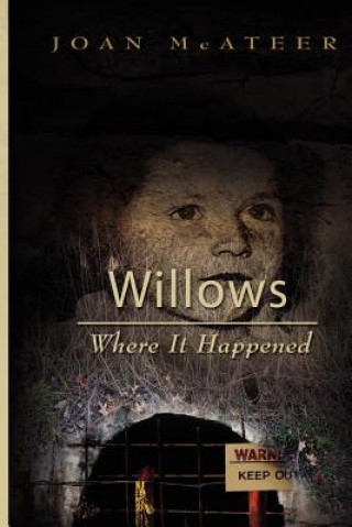 Book Willows Where It Happened Mrs Joan McAteer