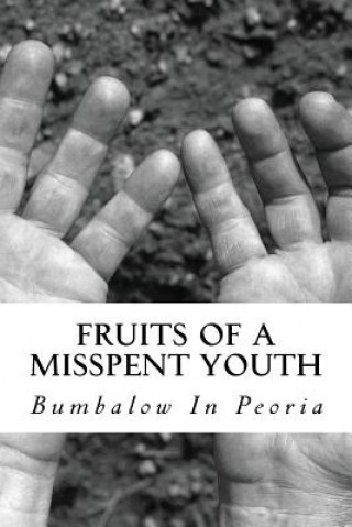 Könyv Fruits Of A Misspent Youth: Bo Bumbalow Josh Kox