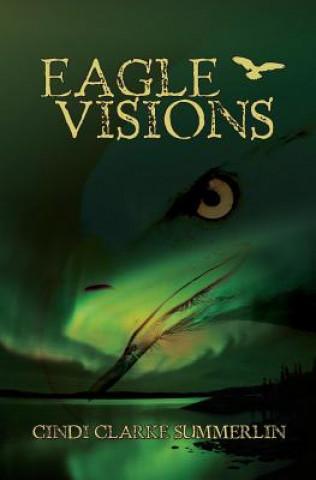 Buch Eagle Visions Cindi Clarke Summerlin