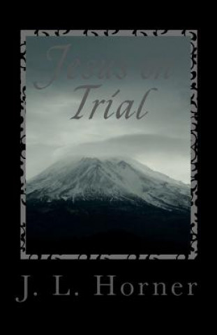 Книга Jesus on Trial: You are the sole juror You have to decide J L Horner