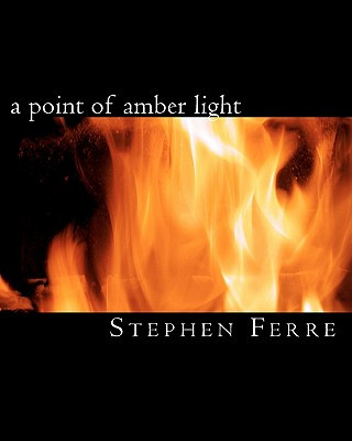 Książka A point of amber light Stephen Ferre