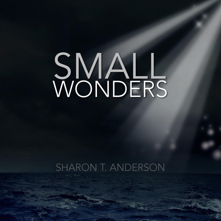 Knjiga Small Wonders Sharon T Anderson