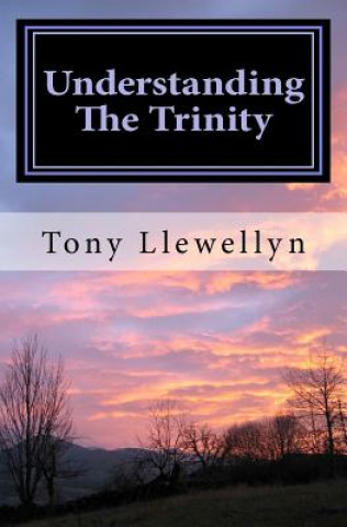 Buch Understanding The Trinity Tony Llewellyn