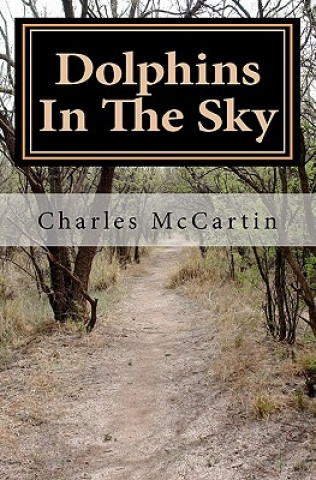 Carte Dolphins In The Sky Charles McCartin
