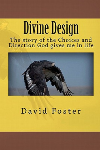 Kniha Divine Design David Foster