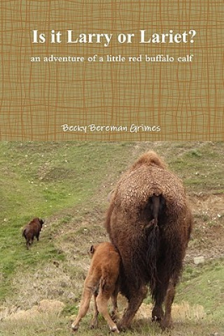 Buch Is It Larry or Lariet? an adventure of a little red buffalo calf Becky Bereman Grimes