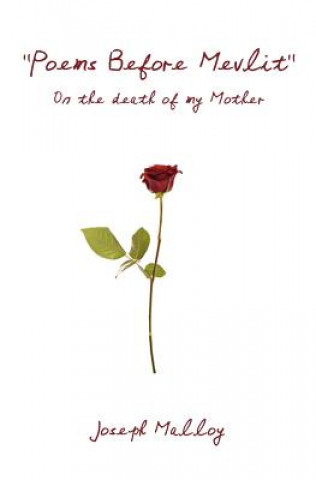 Boek Poems Before Mevlit: On the death of my Mother Joseph Malloy