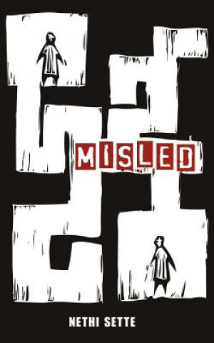 Kniha Misled: Twelve Tales with a Twist Nethi Sette