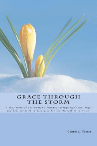 Knjiga Grace Through the Storm Connie L Farrar