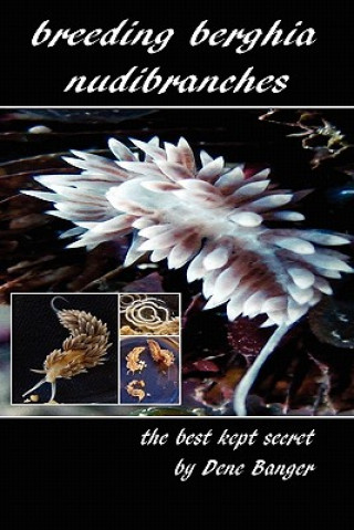 Książka Breeding Berghia Nudibranches the best kept secret Dene Banger