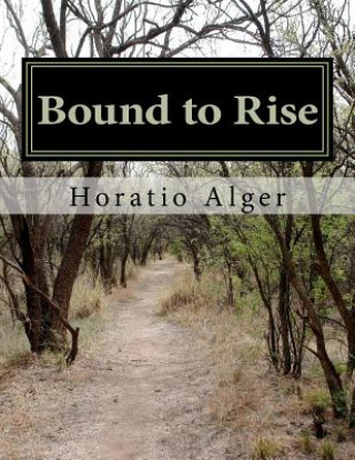 Carte Bound to Rise Horatio Alger