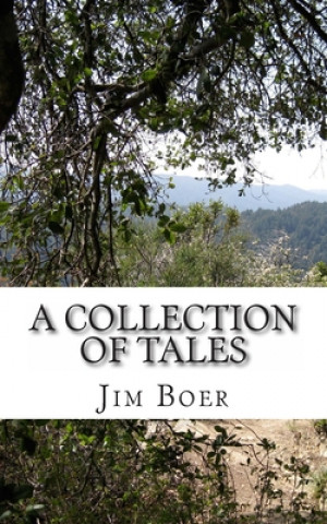 Kniha A Collection of Tales Jim Boer