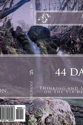 Kniha 44 Days: Thinking and Meditation diary on the Via de la Plata Joongseob Vito Kim