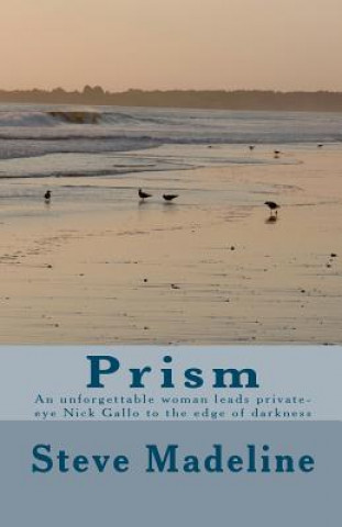 Kniha Prism: An unforgettable woman leads private-eye Nick Gallo to the edge of darkness Steve Madeline