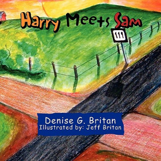 Книга Harry Meets Sam Denise G Britan
