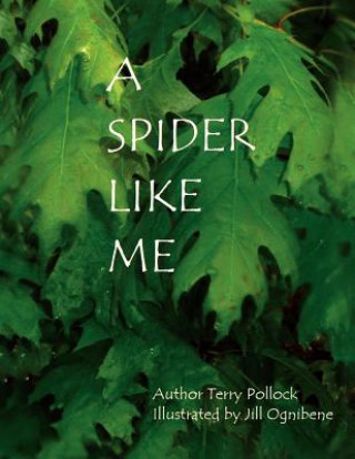 Kniha Spider Like Me Terry Pollock