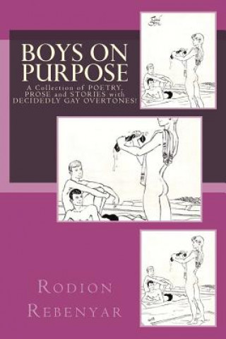 Carte Boys On Purpose: A Collection of Poetry, Prose and Stories with Decidedly Gay Overtones! Rodion Rebenyar
